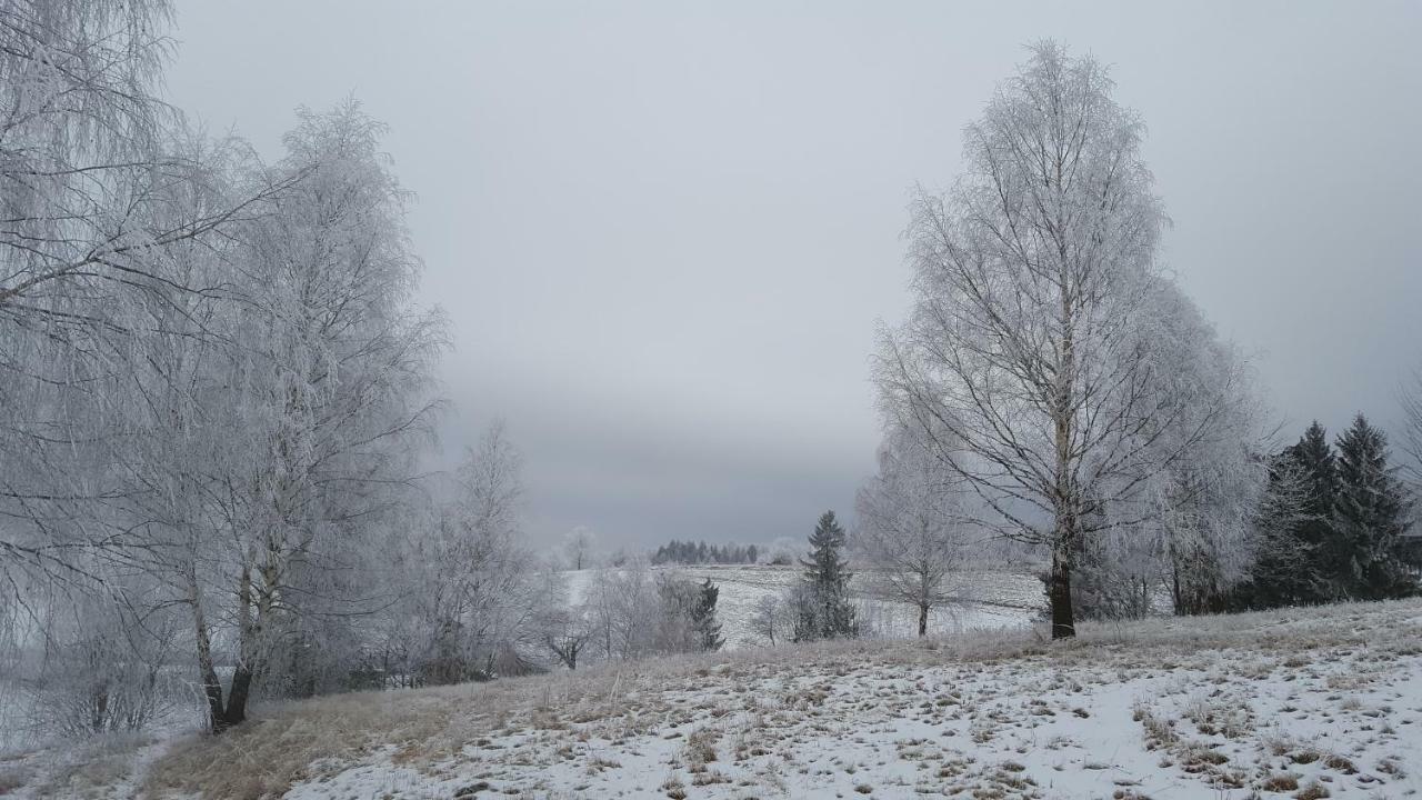 Potoczek 19 Międzylesie Exterior foto