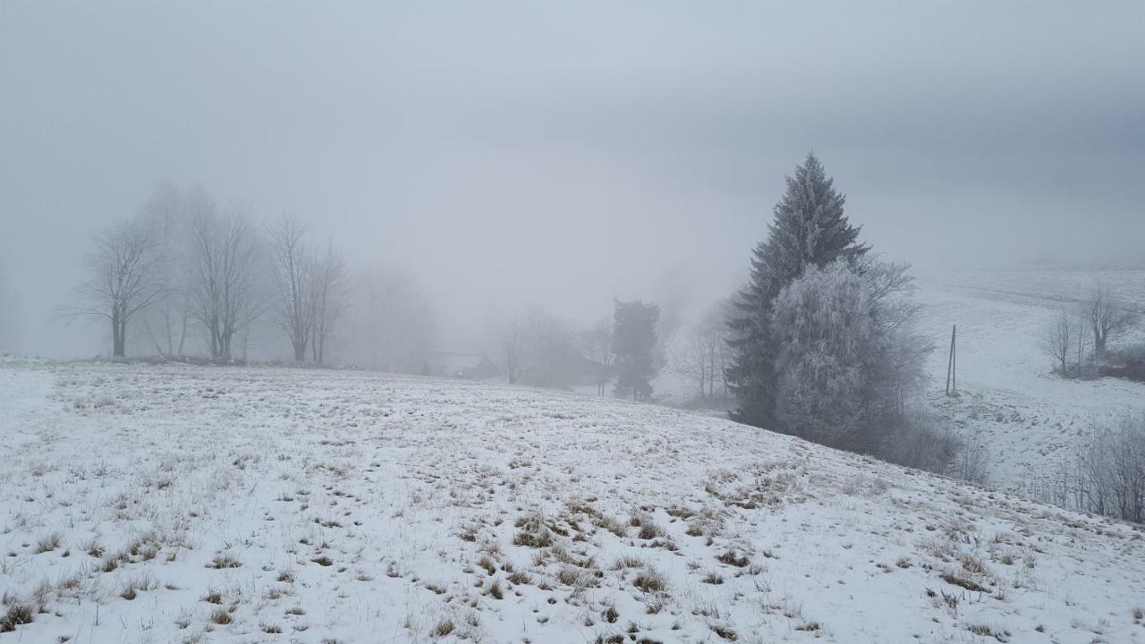 Potoczek 19 Międzylesie Exterior foto
