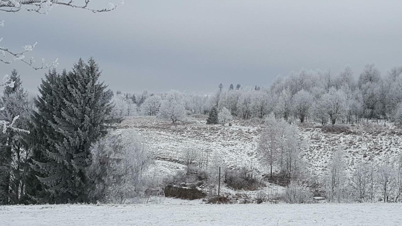 Potoczek 19 Międzylesie Exterior foto