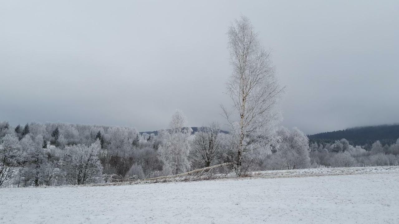 Potoczek 19 Międzylesie Exterior foto